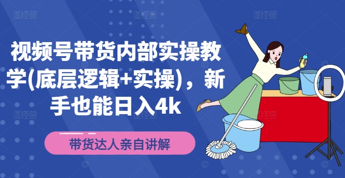 视频号带货实战宝典：揭秘底层逻辑与实操秘诀，新手快速上手日赚4000攻略