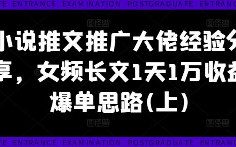 小说推文推广大佬经验分享，女频长文1天1万收益爆单思路(上)