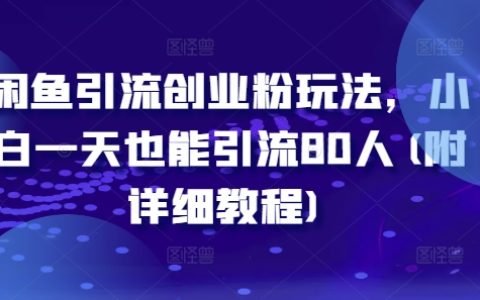 闲鱼引流技巧揭秘：零基础新手一天轻松吸引80名精准粉丝，详尽操作指南