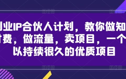 揭秘创业IP合作共赢模式：掌握知识变现、流量运营、项目销售技巧，打造持久盈利的优质项目实战指南