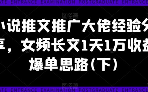 小说推广高手实战秘籍：女频长文日入过万爆单策略(下)