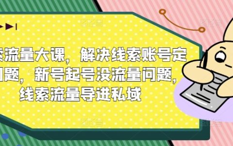 线索流量大课：解决账号定位及新号起号流量难题，精准导流进私域