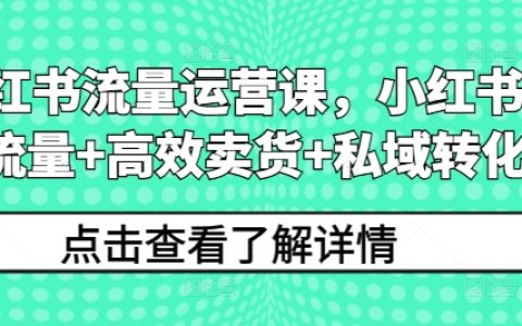 小红书流量运营全攻略：搞流量、卖货与私域转化高效实操课