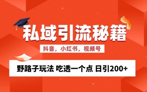 深度揭秘私域流量精准吸粉技巧，独特操作手法，专注一点日增200+粉丝