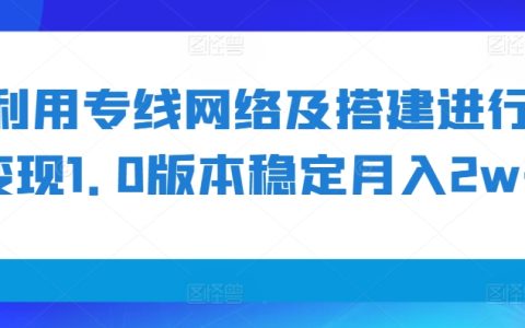 利用专线网络及平台搭建实现稳定月入2万+【揭秘】