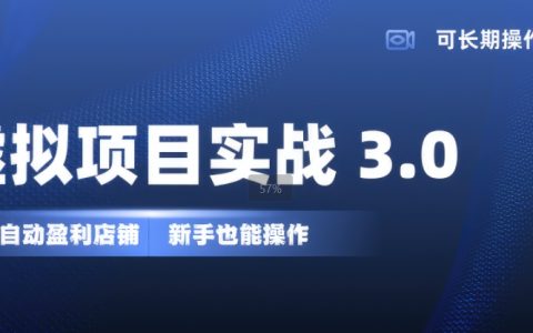 新手也能轻松上手：低投入自动化盈利店铺构建实战指南3.0