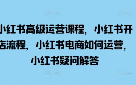 小红书电商高级运营实战课程：开店全流程指导与运营技巧解析