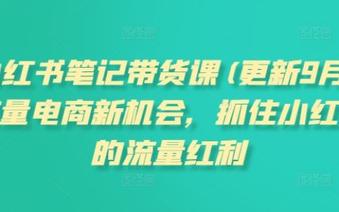 掌握小红书笔记带货课程：利用最新流量电商机会，抓住小红书平台的流量红利（更新至11月）