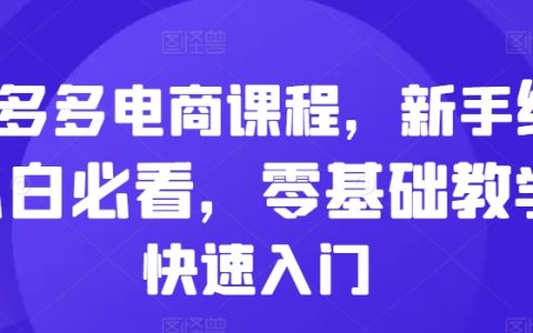 拼多多电商实战教程，适合电商新手，从零开始学起，轻松掌握电商入门技巧