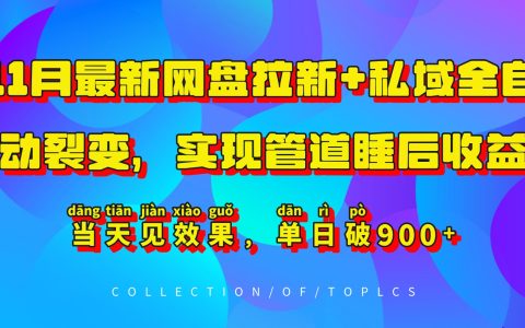 11月最新网盘拉新策略+私域全自动裂变，实现管道式睡后收益，单日收益破900+