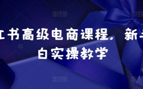 小红书电商运营入门：新手小白实操教学，从零开始打造爆款店铺