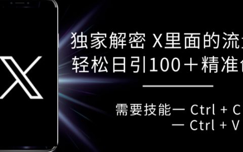 揭秘X平台高效引流技巧，每日轻松获取100+访客（附实战案例）