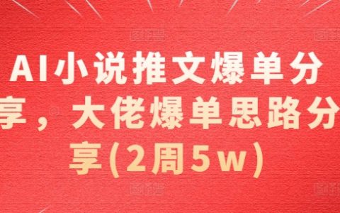 AI小说营销攻略揭秘，行业大佬爆单秘诀大公开（两周实现5万收益）