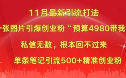 11月最新图片推广技巧：一张图引爆创业粉丝增长，“预算4980高效营销”，单条内容吸引500+精准创业粉丝