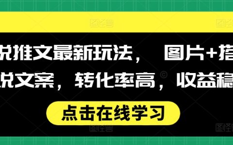 高效小说推广策略：图文结合文案技巧，实现高转化率与持续收益