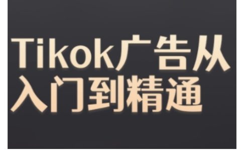 Tiktok广告实战指南：从零开始掌握Tiktok Ads投放技巧