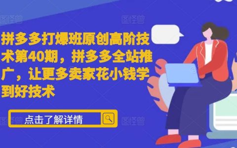 拼多多爆款打造班高阶技术培训第40期，全站推广策略，助力卖家低成本掌握高效营销技巧