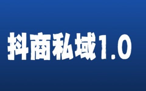 抖音引流技巧与私域运营实战教程——从入门到精通