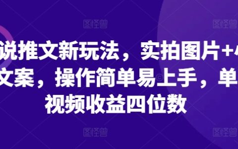 新手必备！实拍图片搭配小说文案，轻松创作高收益视频，单条播放收益轻松过千