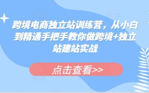 跨境电商独立站训练营，从小白到精通手把手教你做跨境+独立站建站实战