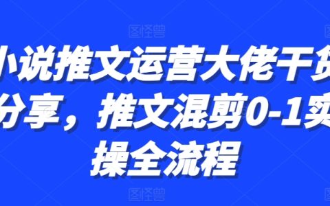 小说推文运营专家实战分享：从零到一的混剪操作全流程指南