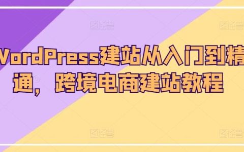 WordPress网站搭建全攻略：从新手到专家，跨境电商网站建设教学