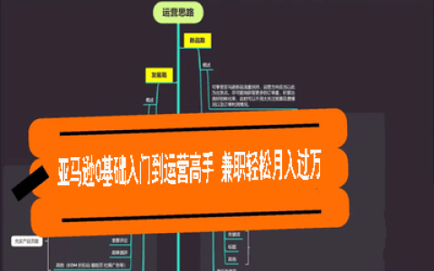 跨境电商实战-亚马逊0基础入门到运营高手 兼职轻松月入过万【30课程】