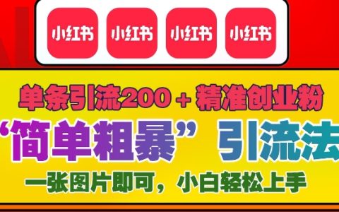 年底小红书高效引流技巧：单条内容吸引200+精准创业粉丝方法分享