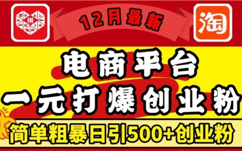 12月更新：电商平台1元引流策略，每日吸引500+精准创业粉丝，轻松实现月收入过万【独家揭秘】