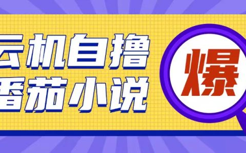 全新云手机自运营小说模式，10元投入实现200元以上回报，操作简便【揭秘】