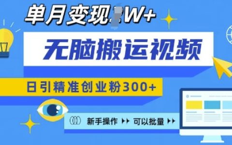 新手小白也能操作的视频号批量引流技巧，每日精准吸引创业粉丝300+，月入过万的秘密揭露