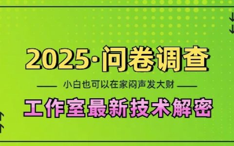 2025年问卷调查工作室核心技术揭秘：居家创业，新手日赚200+，轻松矩阵操作，揭秘攻略