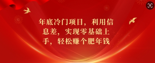 年底冷门项目，利用信息差，实现零基础上手，轻松赚个肥年钱【揭秘】