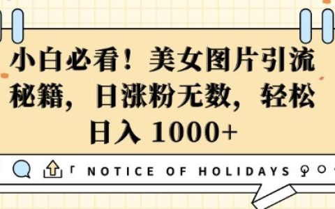 新手必备：高效利用美女图片引流技巧，每日粉丝暴增,轻松日入几张【揭秘】