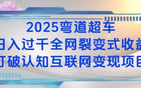 2025年弯道超车：日收入破K全网裂变式盈利项目深度解析