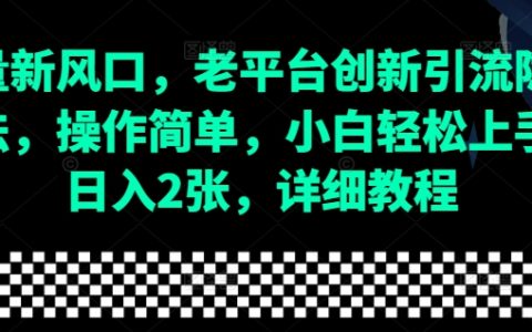 流量新趋势：老平台创新引流技巧全解，操作简便，小白轻松入门，日赚两百全攻略