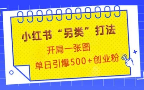 小红书独特运营技巧，首图即吸睛，单日吸引500+精准创业粉丝【实战分享】