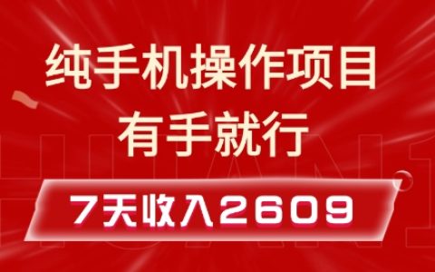 手机也能做的小项目，7天赚取2609元，实战教程全程指导揭秘