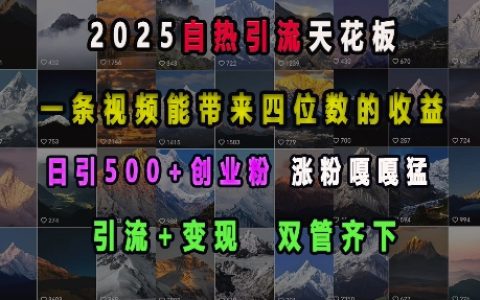 2025年自热引流新高度，视频实现四位数收益，引流与变现并行，每日吸引500+创业者，粉丝暴涨攻略【全面解析】