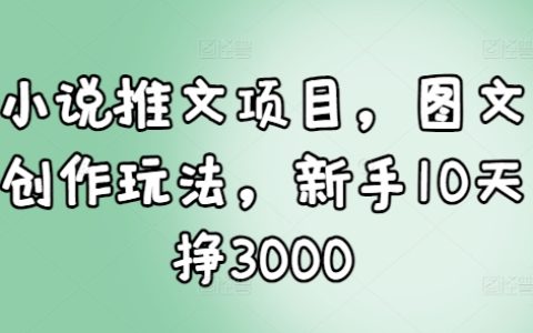 10天新手入门指南：小说推文项目图文创作玩法，轻松实现3000元收益（附实战技巧）