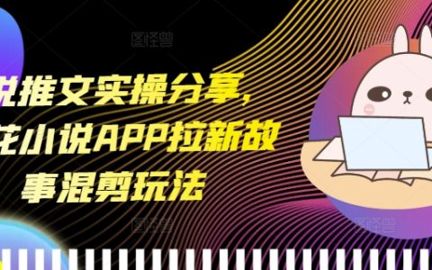 小说推广技巧分享，蛋花小说APP拉新策略故事混剪玩法【实战指南】