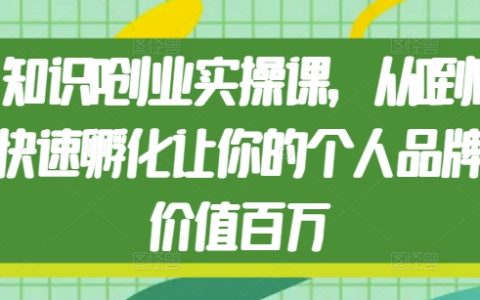 知识IP创业实战课程，手把手教你从零开始高效打造个人品牌，实现百万价值提升