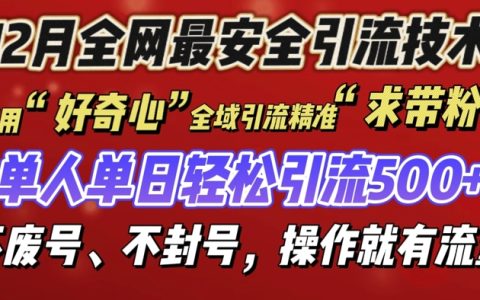 12月全网最安全引流创业技巧曝光，确保不封号不废号，实操即现流量秘籍【揭秘】