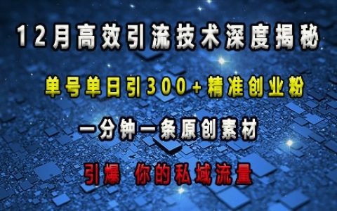 深度解析高效引流技巧：每日单账号吸引超300精准创业粉丝，一分钟生成原创内容，快速提升私域流量