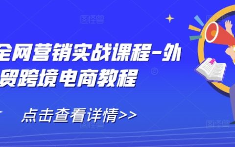 外贸全网营销实战指南-跨境电商运营教程