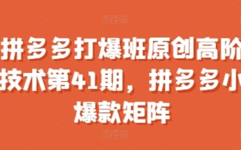 拼多多高阶技术提升班-打造小爆款矩阵实战课程