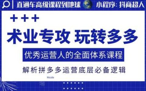 拼多多运营高手修炼记：全面体系课程揭秘底层操作逻辑与技巧