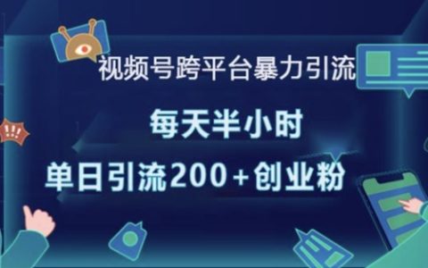 视频号多平台高效引流技巧，每日30分钟实现单日超200精准创业粉丝增长