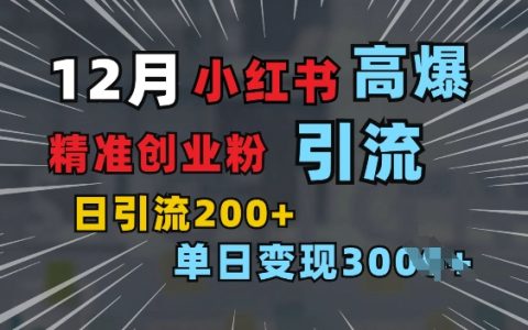 小红书图片引流秘籍，“引爆”单日增加200+精准创业粉丝，可筛选付费意识创业者（独家揭秘）