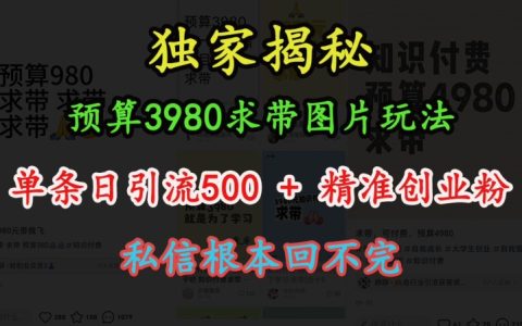 3980元全套教程：图片引流玩法，实现日增500+精准创业粉丝，私信暴涨应对方案